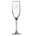 8 Oz. Connoisseur Champagne Flute